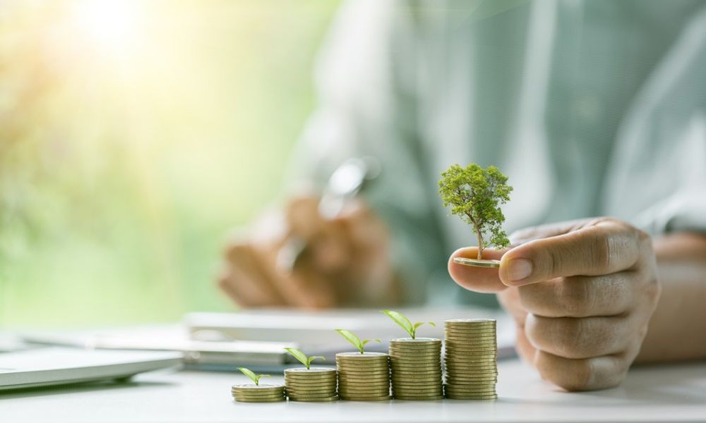 UAE Salary Guide 2025